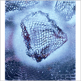 duetart - Yayoi Kusama